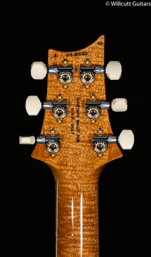 PRS DGT Wood Library Edition Faded Blue Jean Brazilian Fretboard