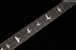 PRS DGT Wood Library Edition Fire Red Burst Brazilian Fretboard