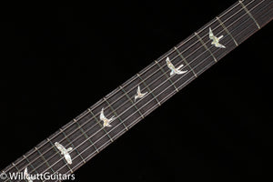 PRS DGT Gold Top Birds