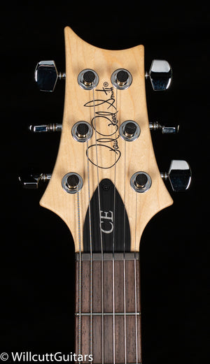 2021 PRS CE 24 Eriza Verde (024)