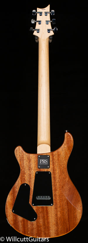 2021 PRS CE 24 Eriza Verde (046)