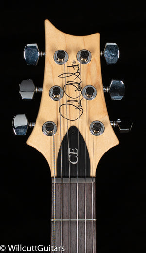 2021 PRS CE 24 Eriza Verde (046)