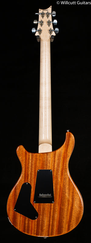 PRS Custom 24 Floyd Purple Iris 10 top (362)