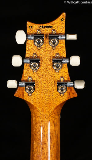 PRS DGT Eriza Verde 10 Top (803)