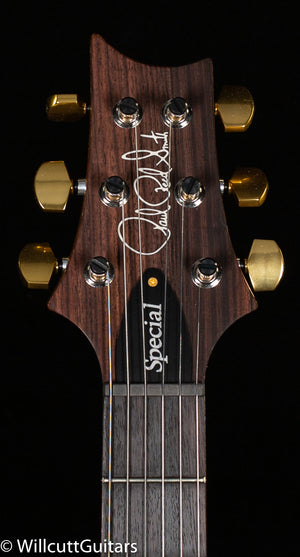 2022 PRS Special Semi-Hollow Eriza Verde 10 Top (843)