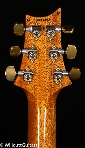 2022 PRS Special Semi-Hollow Eriza Verde 10 Top (843)