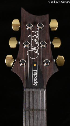 2022 PRS Special Semi-Hollow Purple Mist 10 Top (193)