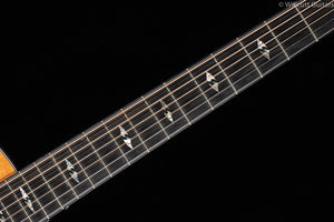 Breedlove Fusion Special Edition New Old Stock (090)