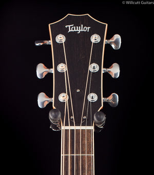 Taylor 816ce DLX