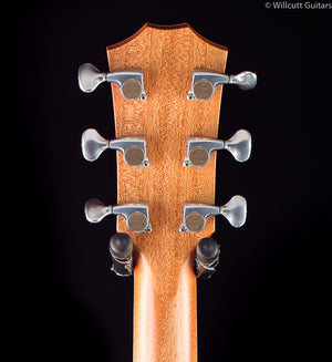 Taylor 816ce DLX