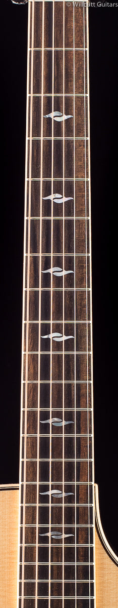 Taylor 816ce DLX