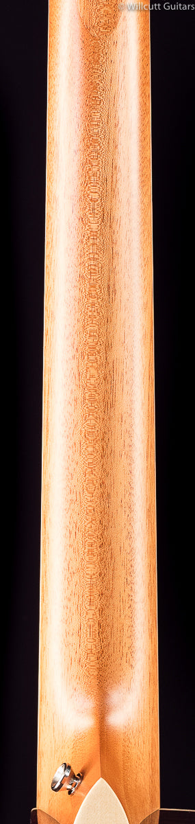 Taylor 816ce DLX