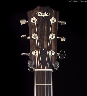 Taylor 516ce Florentine