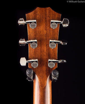 Taylor 516ce Florentine