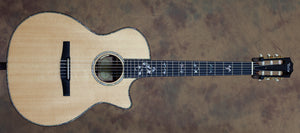 Taylor 914c-N Nylon Grand Auditorium w/ LR Baggs Pickup USED (068)