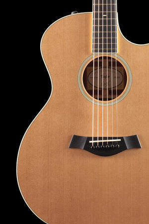 Taylor Willcutt Acoustic Suites Special Edition GAce Cocobolo (130)