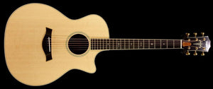 Taylor Willcutt Acoustic Suites Special Edition GAce Cocobolo (141)
