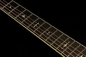 Taylor Willcutt Acoustic Suites Special Edition GAce Cocobolo (141)