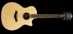 Taylor Willcutt Acoustic Suites Special Edition GAce Cocobolo (142)