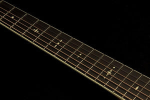 Taylor Willcutt Acoustic Suites Special Edition GAce Cocobolo (142)