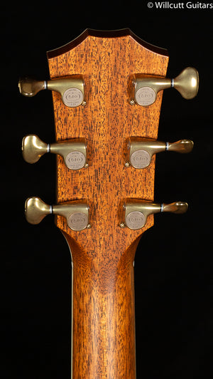 Taylor Willcutt Acoustic Suites Special Edition GAce Cocobolo (143)