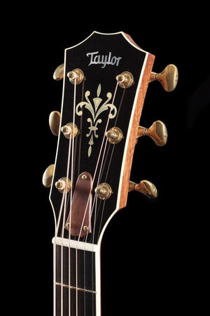 Taylor Willcutt Acoustic Suites Special Edition GAce Cocobolo (134)