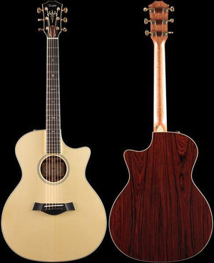 Taylor Willcutt Acoustic Suites Special Edition GAce Cocobolo (137)