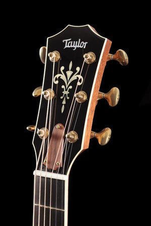 Taylor Willcutt Acoustic Suites Special Edition GAce Cocobolo (137)