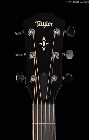 Taylor 517E Builders Edition V-Class Wild Honey Burst