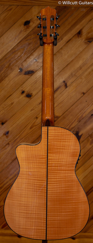 Cordoba Fusion 14 Maple w/ Gigbag DEMO