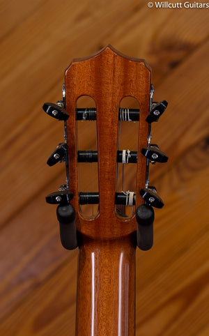 Cordoba Fusion 14 Maple w/ Gigbag DEMO