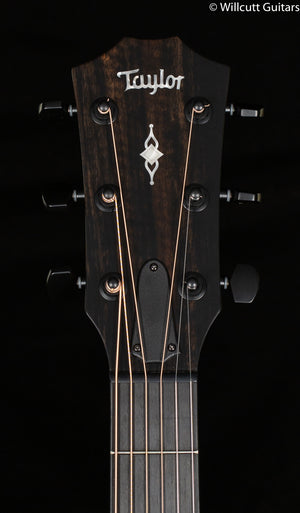 Taylor 324ce Shaded Edge Burst V-Class Bracing (172)