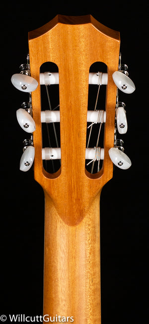 Taylor 814ce-N (057)