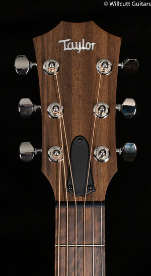 Taylor GTe Grand Theatre Mahogany