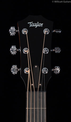 Taylor Custom ZIRICOTE w/Lutz Spruce Top Grand Pacific (NAMM Catch #34)