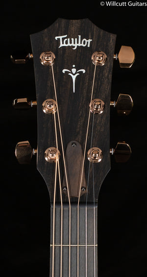 Taylor 724ce Grand Auditorium Koa (106)
