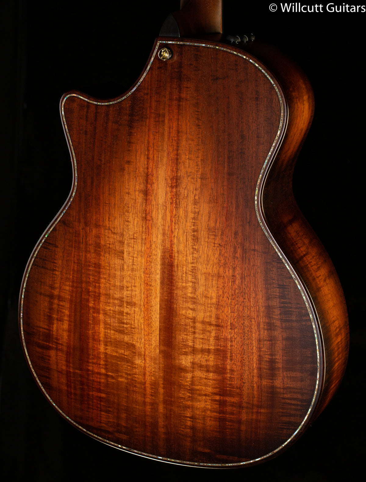 Taylor Builder's Edition K24ce (092)