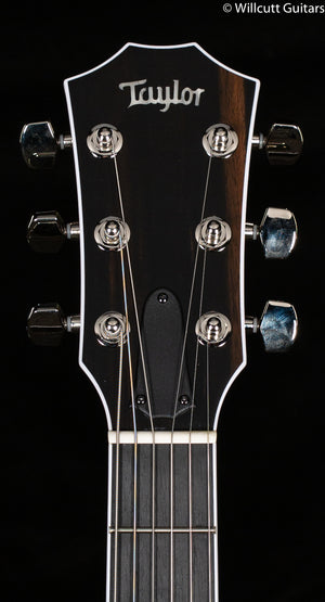 Taylor T5z Pro Molasses Burst Special Edition Quilt Maple (011)