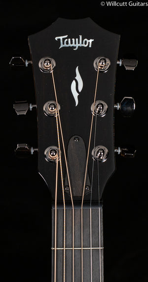 Taylor GT 811e Rosewood/Spruce ES2 (019)
