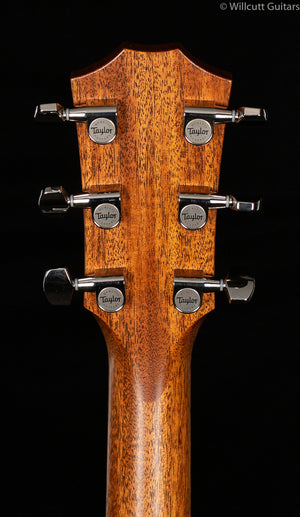 Taylor E14ce V-Class