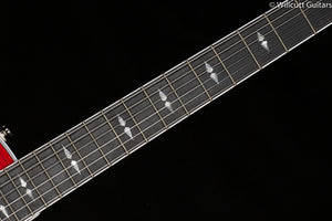 Taylor T5z Pro Borrego (005)