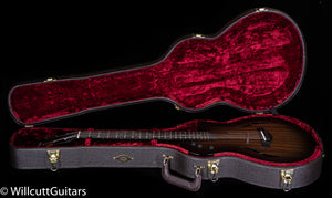 Taylor T5z Classic Rosewood (003)