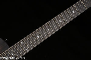 Taylor T5z Classic Rosewood (003)