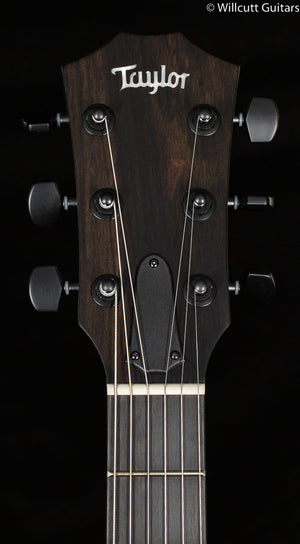 Taylor T5z Classic Sassafras Top (175)
