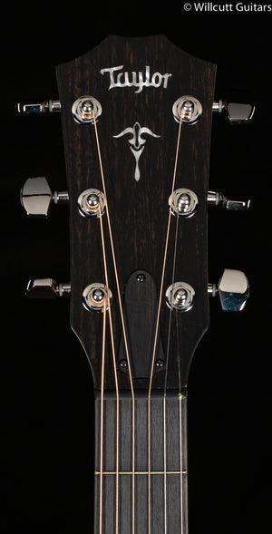 Taylor 514ce Grand Auditorium Urban Ironbark/Torrefied Sitka (158)