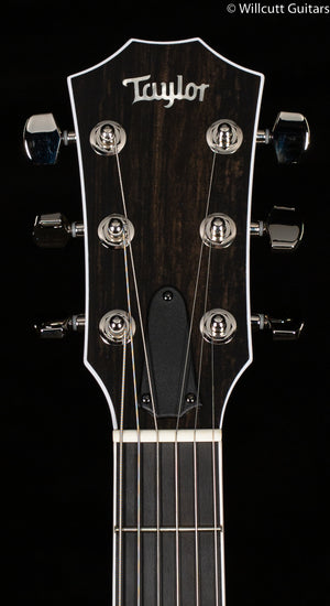 Taylor T5z Pro Molasses Burst Special Edition Quilt Maple (008)