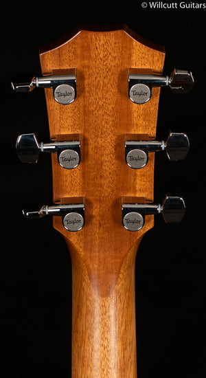 Taylor 514ce Urban Ironbark/Torrefied Sitka (166)