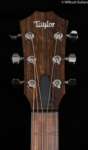 Taylor GTe Grand Theatre Urban Ash (121)
