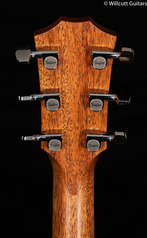 Taylor E14ce V-Class