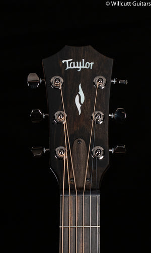 Taylor GT 811e